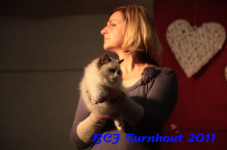 bcf antw 2010 266