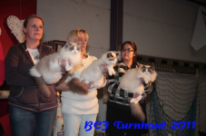 bcf antw 2010 223