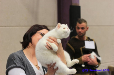 bcfturnhout 2014 0330