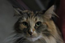 img 2378