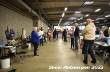 Antwerp 2022192
