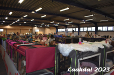 Laakdal 2023 245