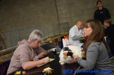 Antwerpen 2019DSC 0149