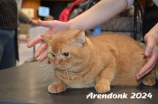 Arendonk 2024 102