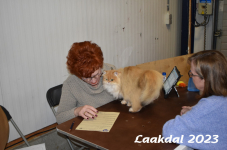 Laakdal 2023 189