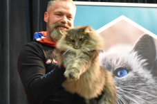 Katttenshow Arendonk 2020 DSC 0699
