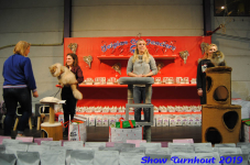 turnhout 2019-0108