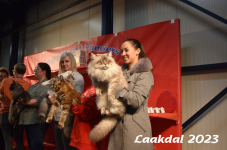 Laakdal 2023 382