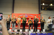 turnhout 2019-0183