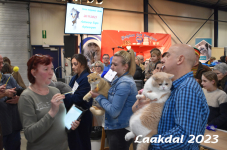 Laakdal 2023 397
