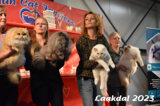 Laakdal 2023 359