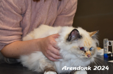 Arendonk 2024 134