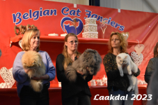 Laakdal 2023 358
