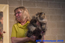 Antwerpen 2019DSC 0301