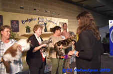 Antwerpen 2019DSC 0459