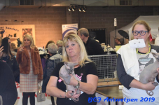 Antwerpen 2019DSC 0386