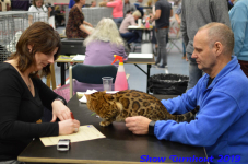 turnhout 2019-0252