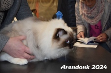 Arendonk 2024 065