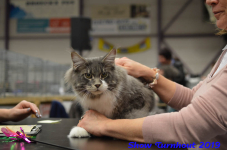turnhout 2019-0366