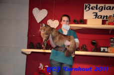 bcf antw 2010 211