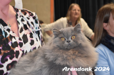 Arendonk 2024 532