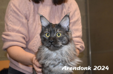 Arendonk 2024 122