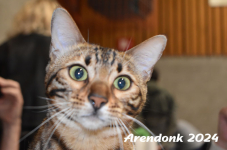 Arendonk 2024 355