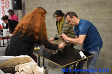 Antwerpen 2019DSC 0102