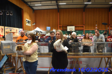 DSC 0336