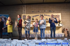 Antwerpen 2019DSC 0316