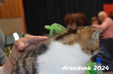 Arendonk 2024 390