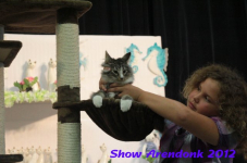 arendonk 2012 329