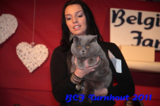 bcf antw 2010 193