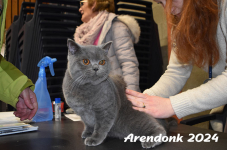 Arendonk 2024 108