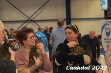 Laakdal 2023 249