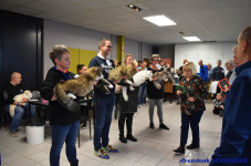 Katttenshow Arendonk 2020 DSC 0500