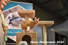 Antwerp 2022393