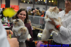 turnhout 2019-0396