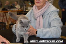 Schow Antwerpen 2023 211