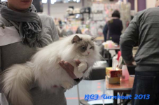 turnhout 2013 img 9994