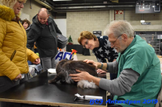 Antwerpen 2019DSC 0057