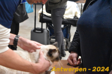 Antwerpen 126
