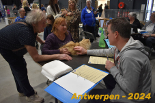 Antwerpen 205