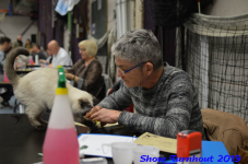 turnhout 2019-0362