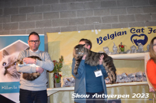 Schow Antwerpen 2023 348