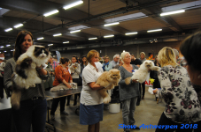 antwerp 2018 0269