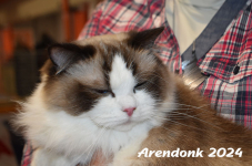 Arendonk 2024 255