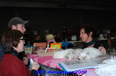 bcf antw 2010 087