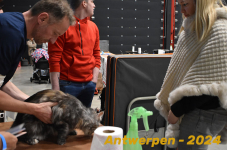 Antwerpen 044