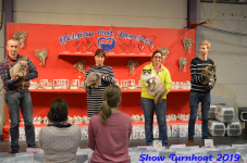 turnhout 2019-0380